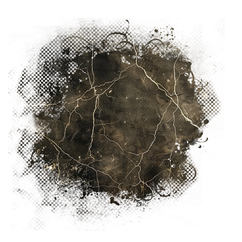 2025-DesignsbyForteMasked800x800-867