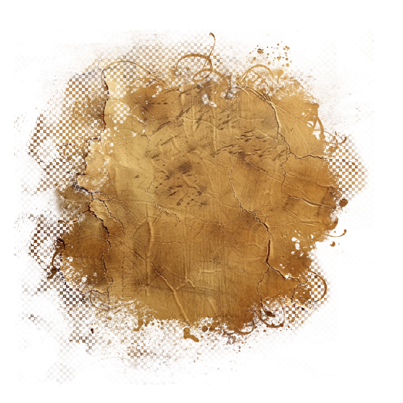 2025-DesignsbyForteMasked800x800-868