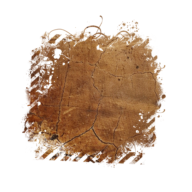 2025-DesignsbyForteMasked800x800-871