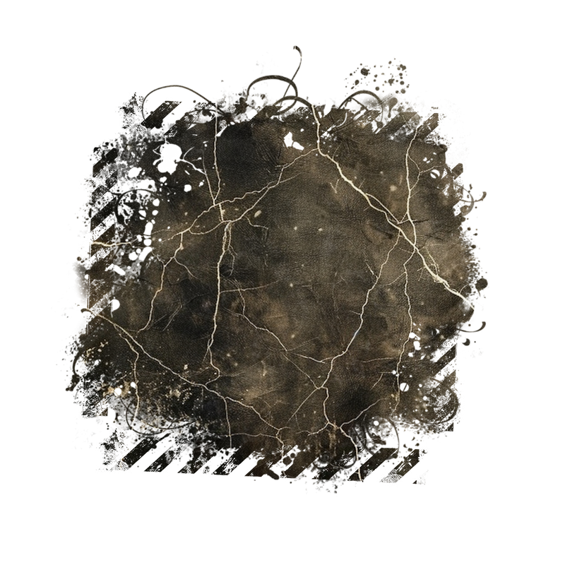 2025-DesignsbyForteMasked800x800-872