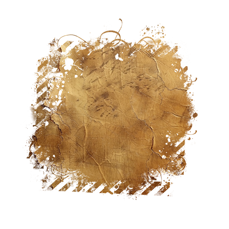 2025-DesignsbyForteMasked800x800-874