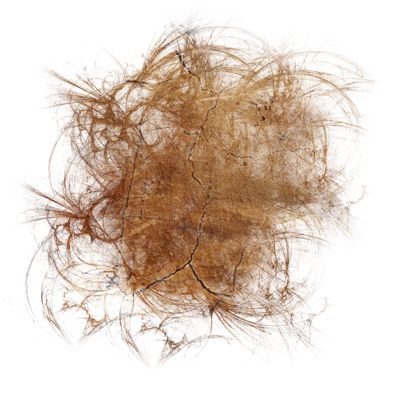 2025-DesignsbyForteMasked800x800-881