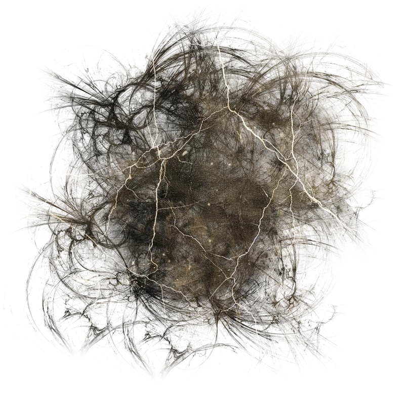 2025-DesignsbyForteMasked800x800-882