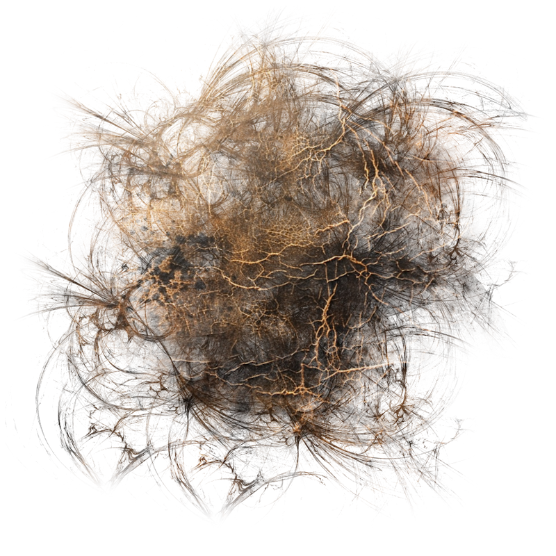 2025-DesignsbyForteMasked800x800-883