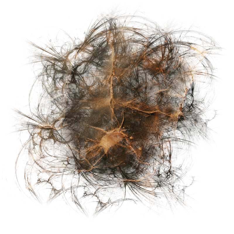 2025-DesignsbyForteMasked800x800-884