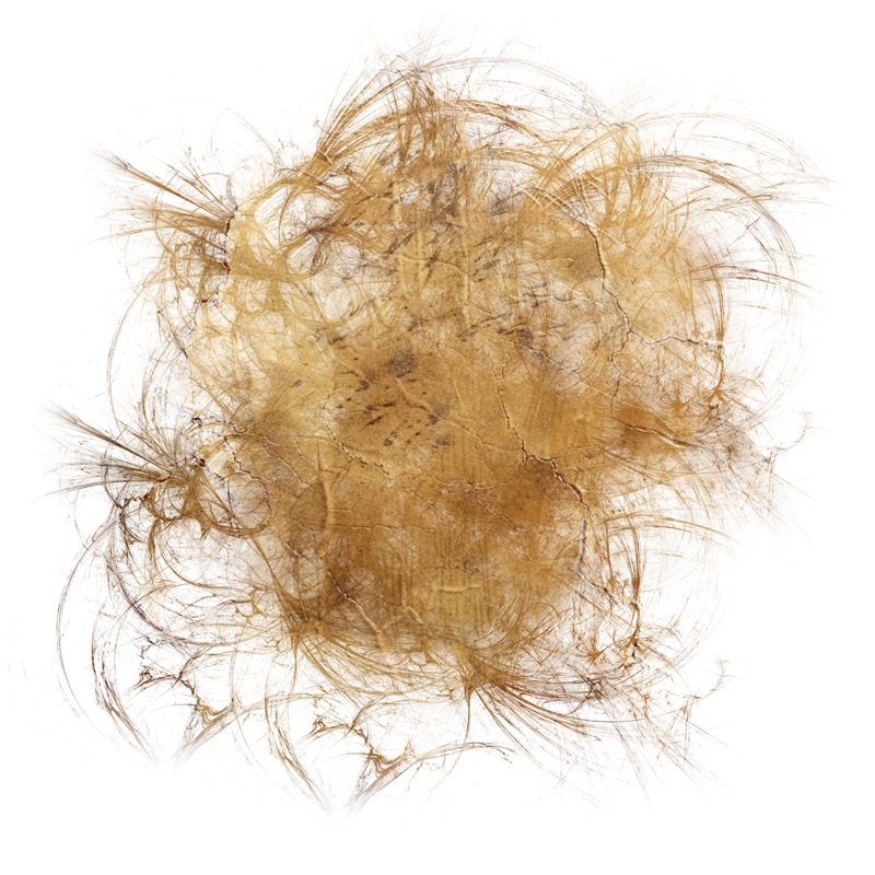 2025-DesignsbyForteMasked800x800-885