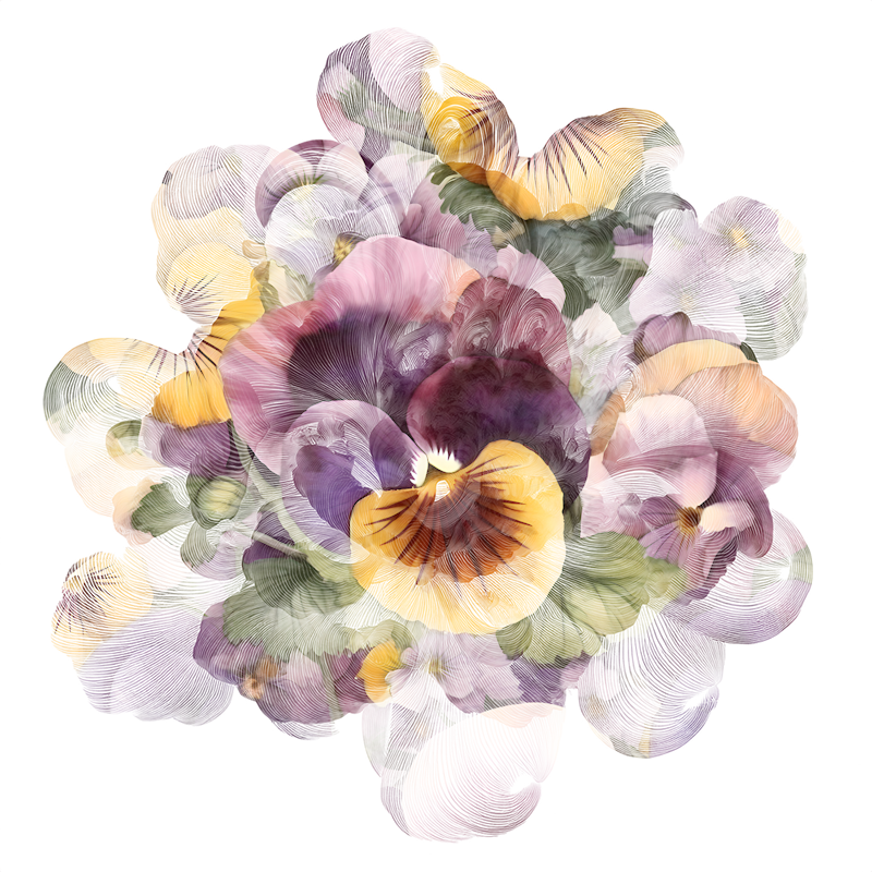 2026-DesignsbyForteSpringMasked800x800-28
