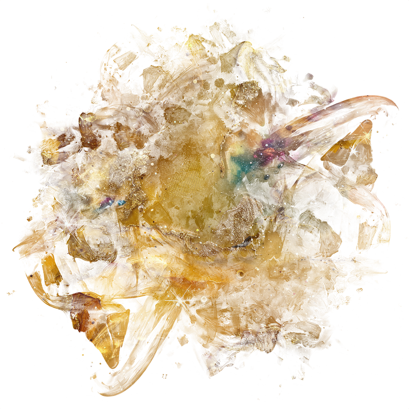 2026-DesignsbyForteMasked800x800-1136