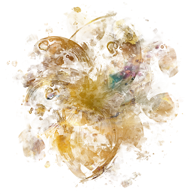 2026-DesignsbyForteMasked800x800-1137