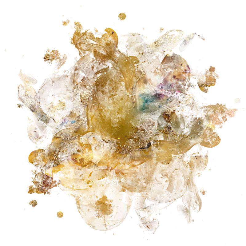 2026-DesignsbyForteMasked800x800-1146