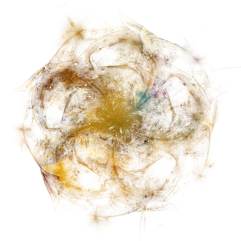 2026-DesignsbyForteMasked800x800-1151