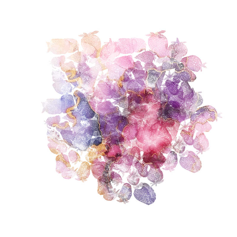 2026-DesignsbyForteMasked800x800-1262