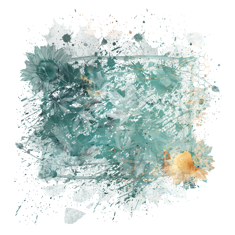 2026-DesignsbyForteMasked800x800-1327