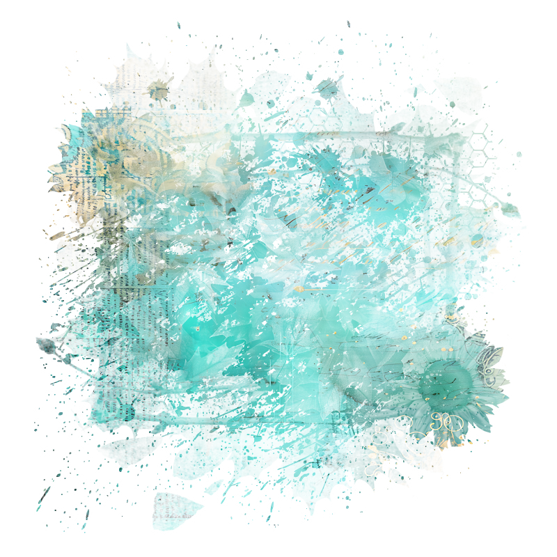 2026-DesignsbyForteMasked800x800-1331