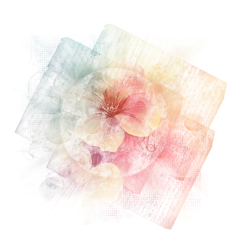 2026-DesignsbyForteMasked800x800-185