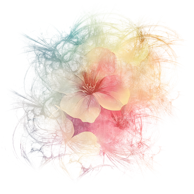 2026-DesignsbyForteMasked800x800-187