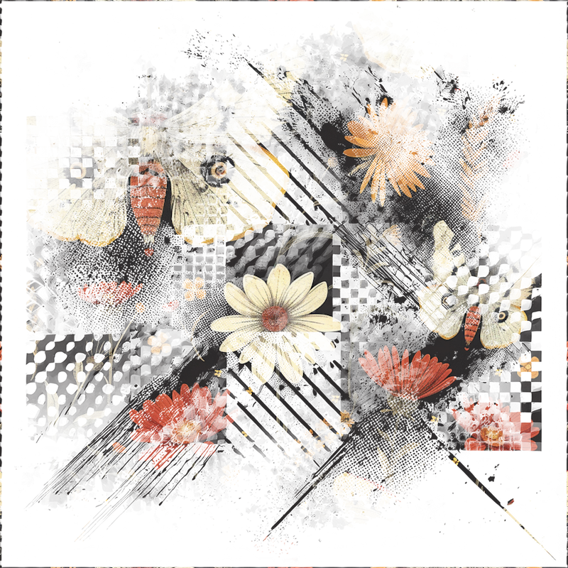 2026-DesignsbyForteMasked800x800-231