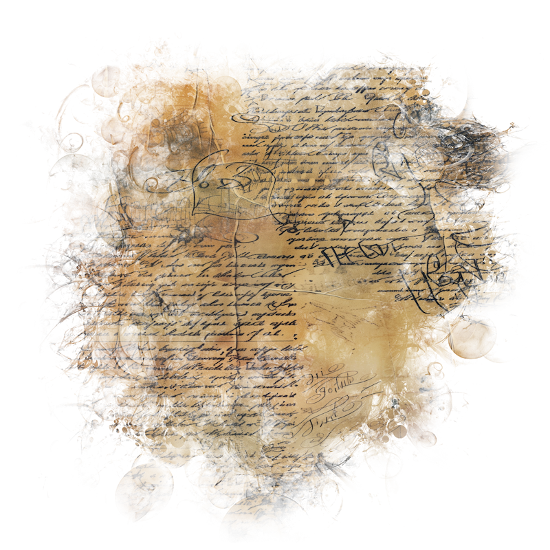 2026-DesignsbyForteMasked800x800-264