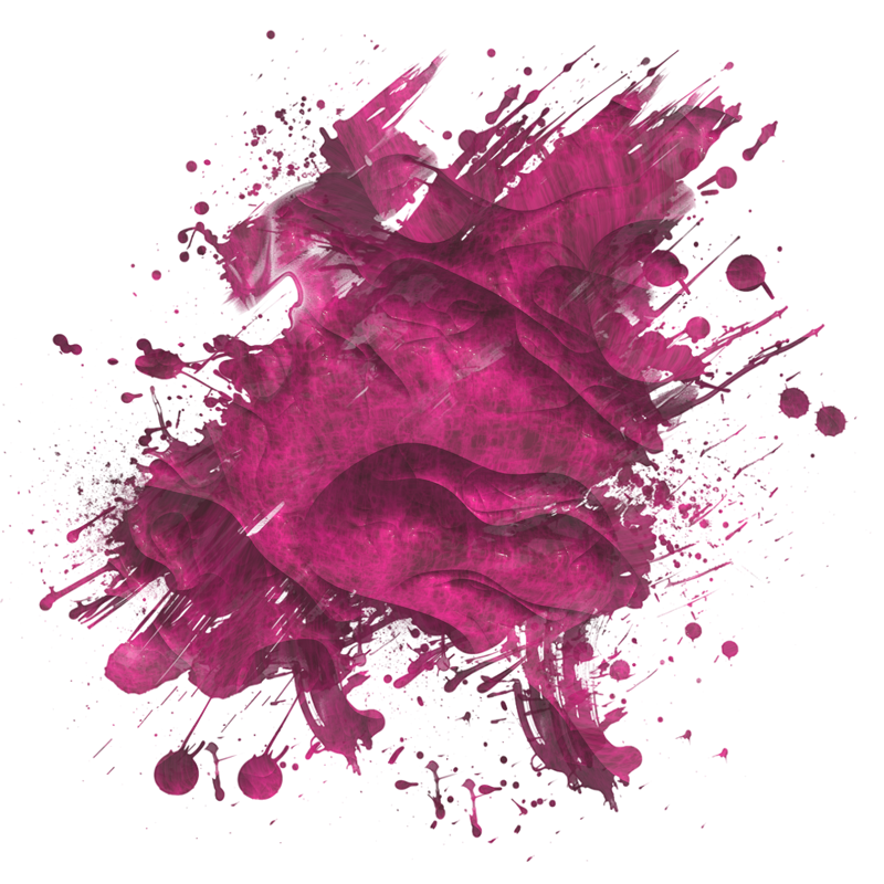 2026-DesignsbyForteMasked800x800-317