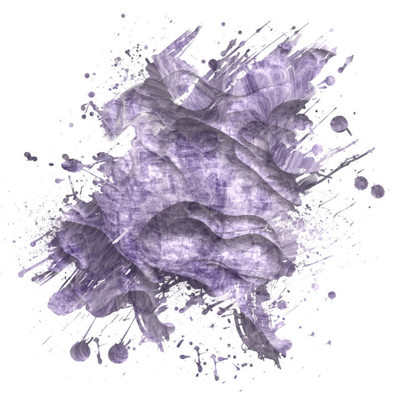 2026-DesignsbyForteMasked800x800-319