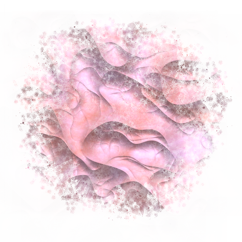 2026-DesignsbyForteMasked800x800-321
