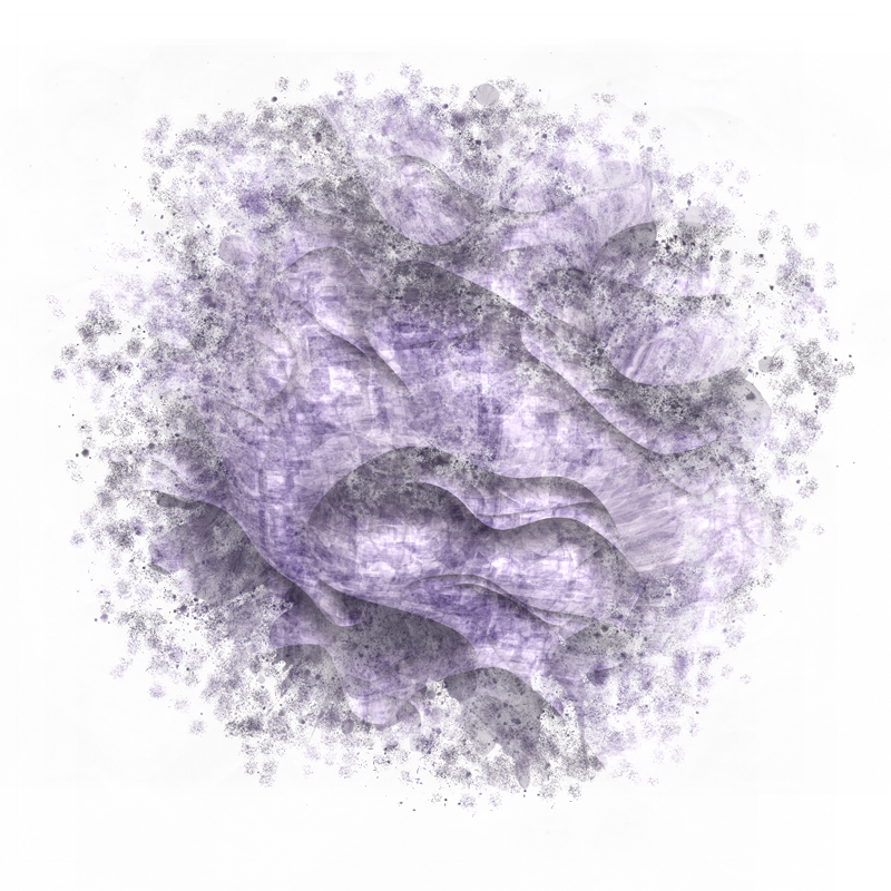 2026-DesignsbyForteMasked800x800-322