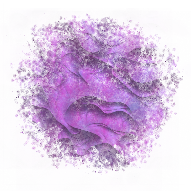 2026-DesignsbyForteMasked800x800-323