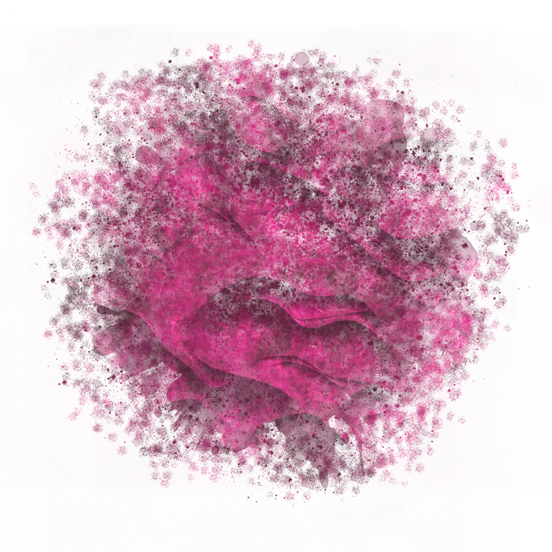 2026-DesignsbyForteMasked800x800-324