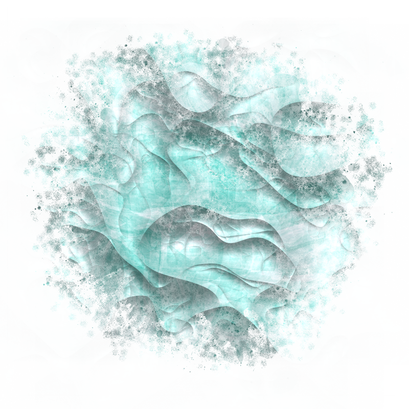 2026-DesignsbyForteMasked800x800-325