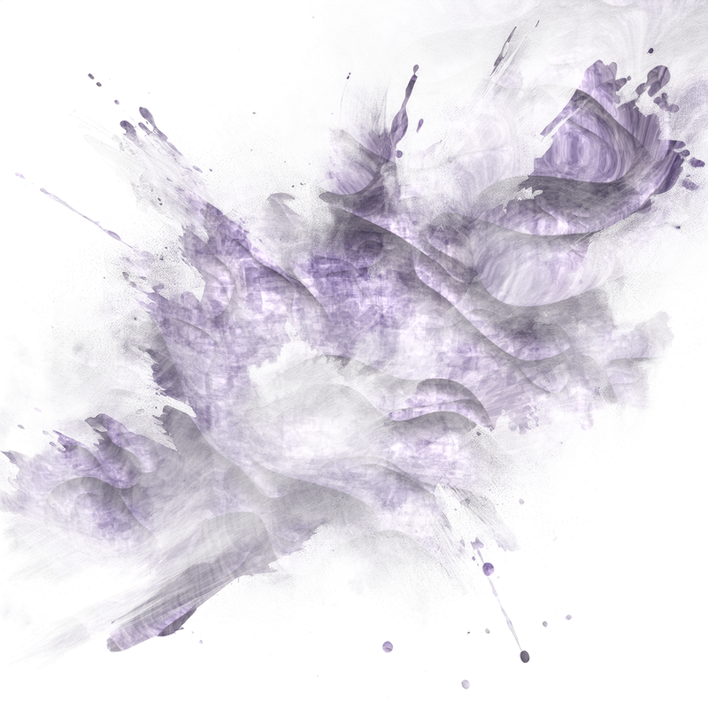2026-DesignsbyForteMasked800x800-342