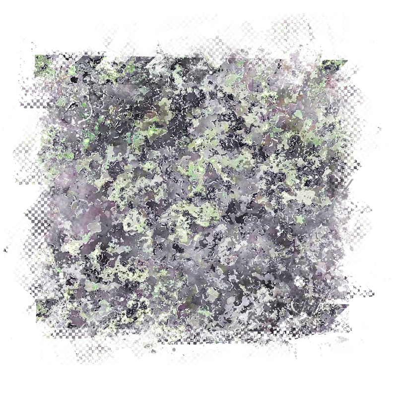 2026-DesignsbyForteMasked800x800-365