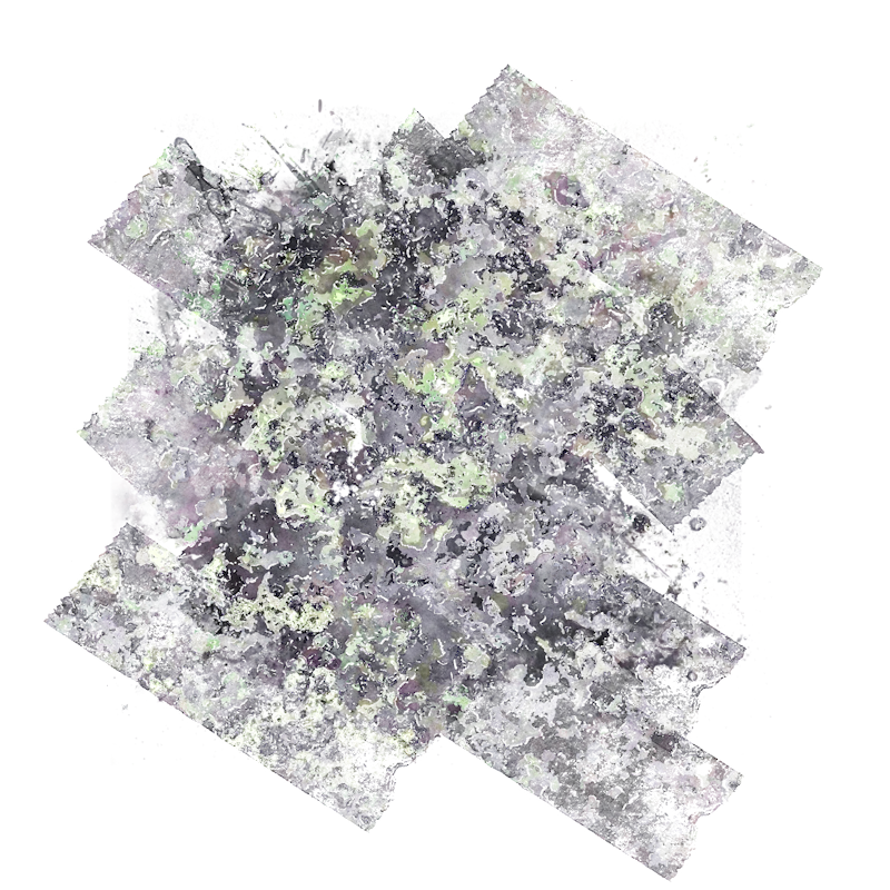 2026-DesignsbyForteMasked800x800-366
