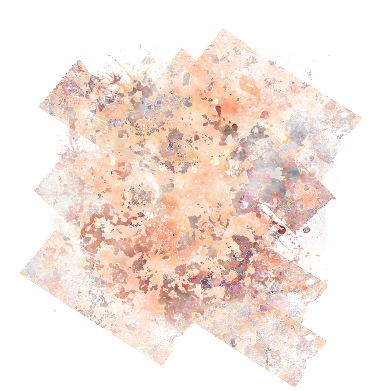 2026-DesignsbyForteMasked800x800-369