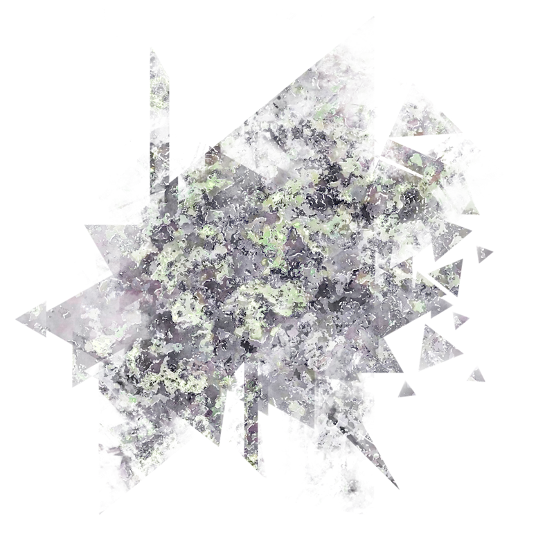 2026-DesignsbyForteMasked800x800-376