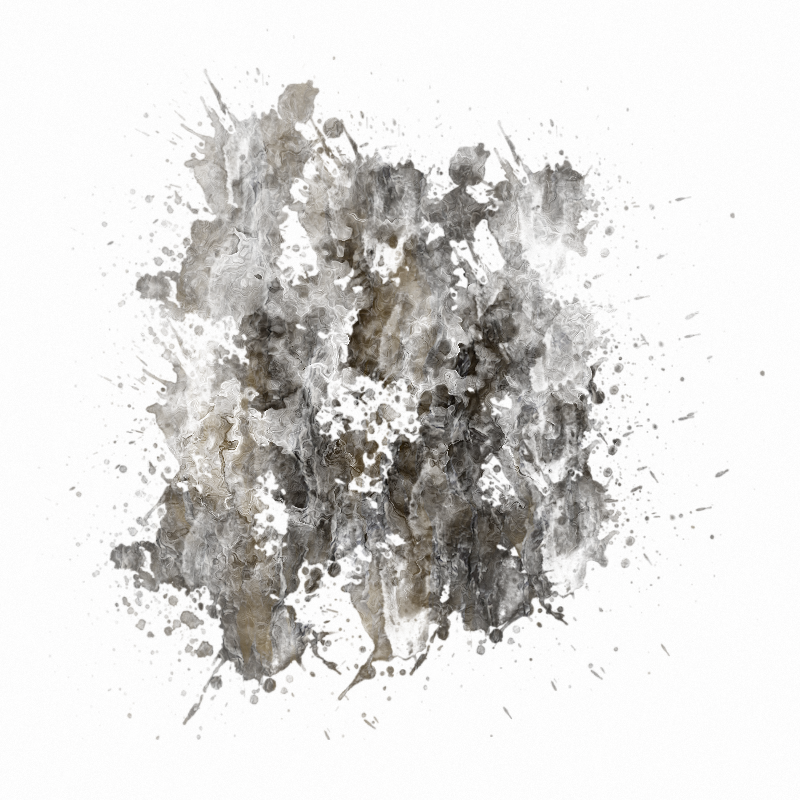 2026-DesignsbyForteMasked800x800-442