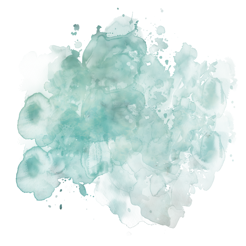2026-DesignsbyForteMasked800x800-539