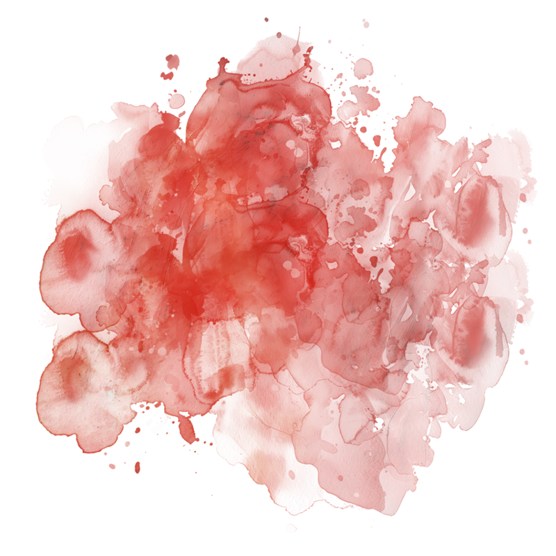 2026-DesignsbyForteMasked800x800-540