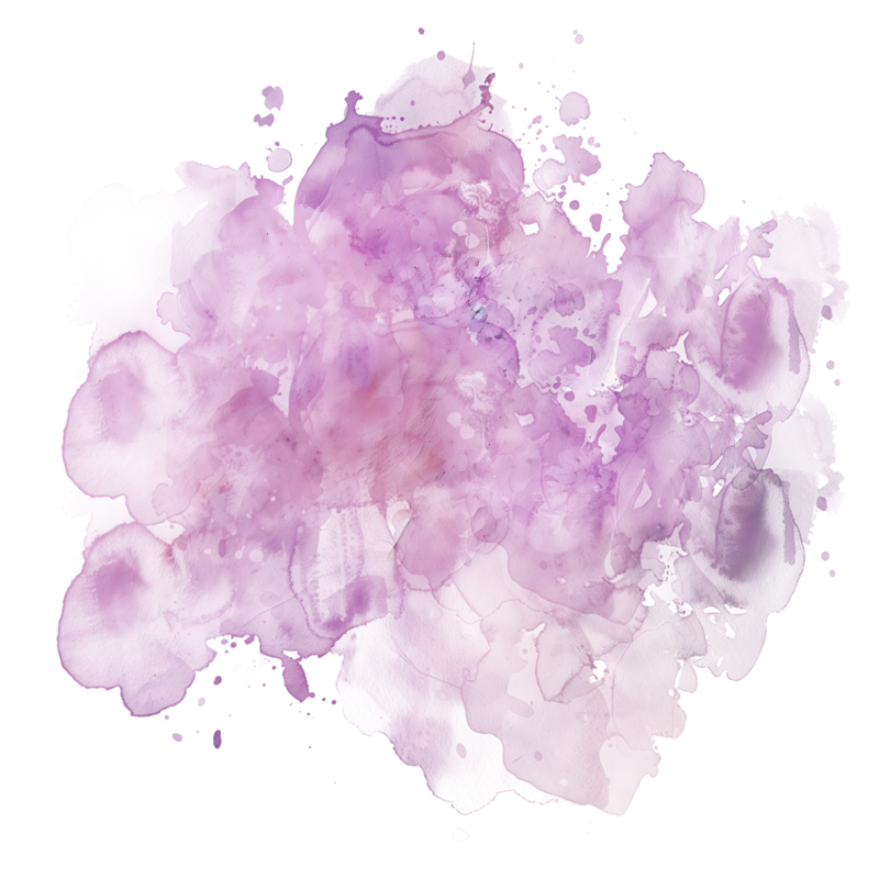 2026-DesignsbyForteMasked800x800-541