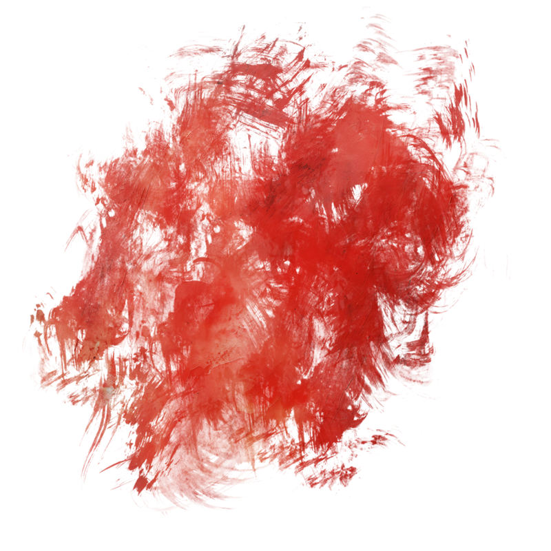 2026-DesignsbyForteMasked800x800-544