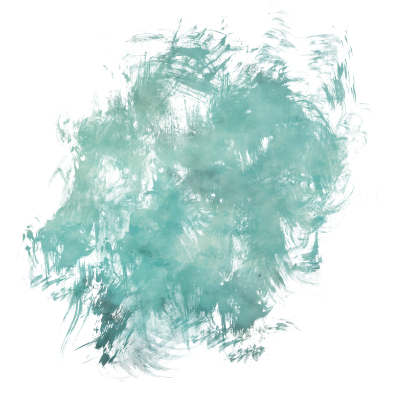 2026-DesignsbyForteMasked800x800-545
