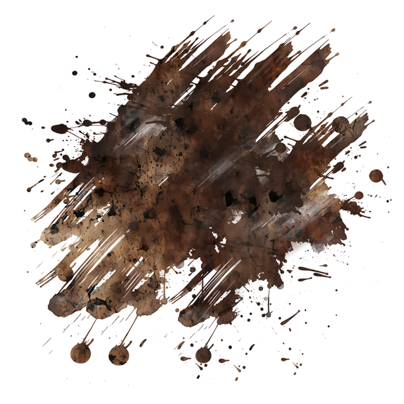 2026-DesignsbyForteMasked800x800-547