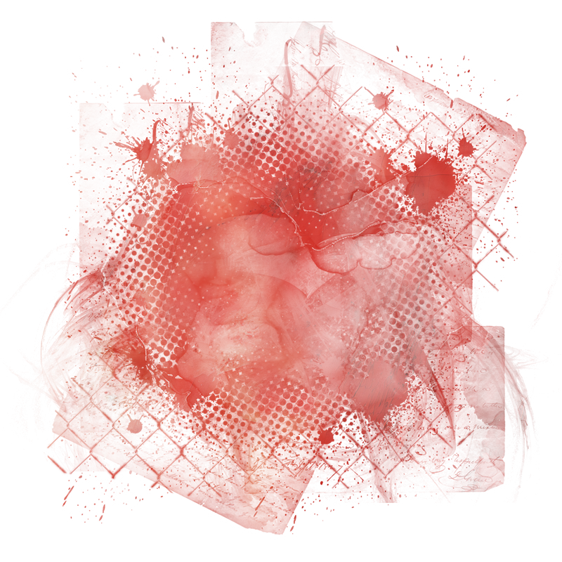 2026-DesignsbyForteMasked800x800-529