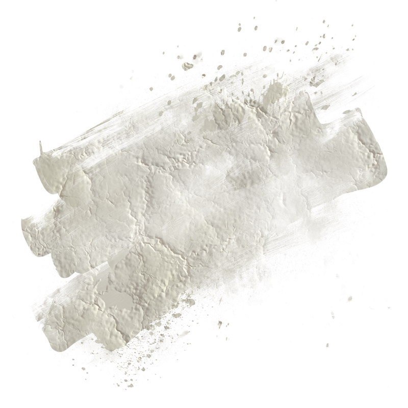 2026-DesignsbyForteMasked800x800-571