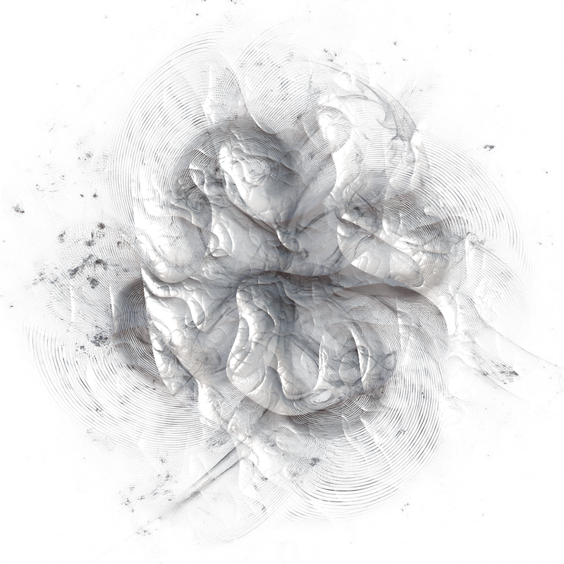 2026-DesignsbyForteMasked800x800-580