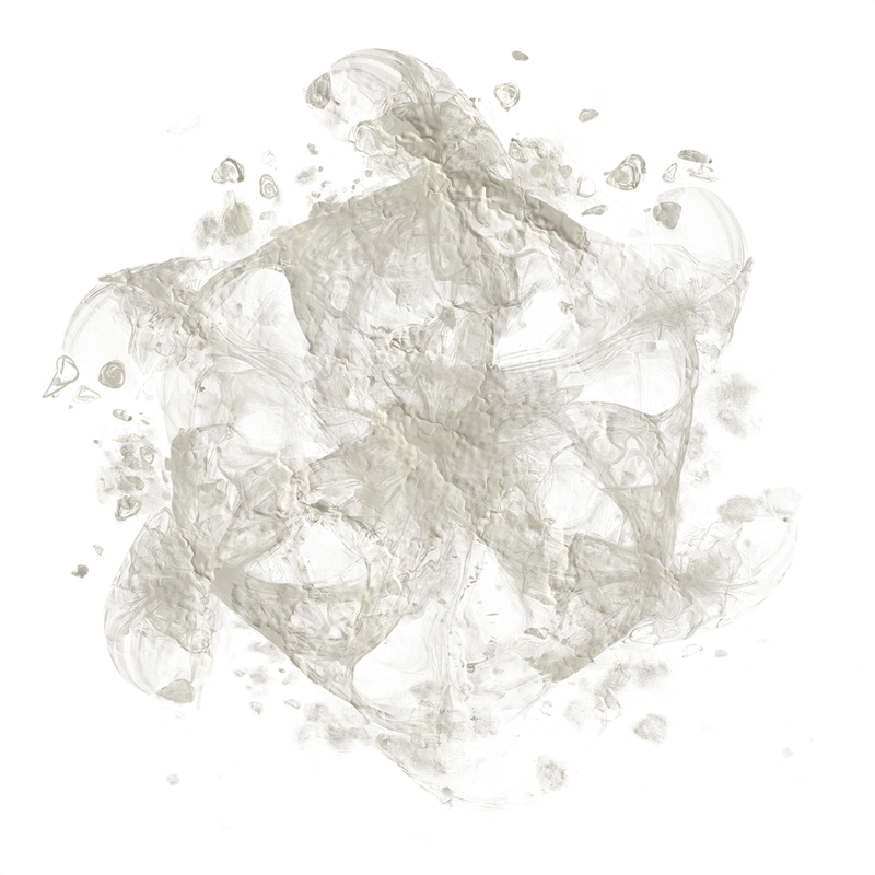 2026-DesignsbyForteMasked800x800-582