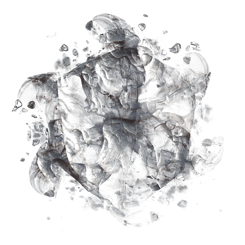 2026-DesignsbyForteMasked800x800-583