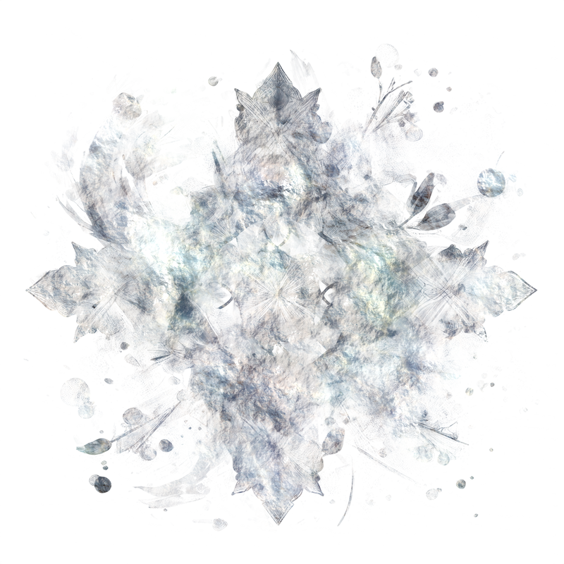 2026-DesignsbyForteMasked800x800-590