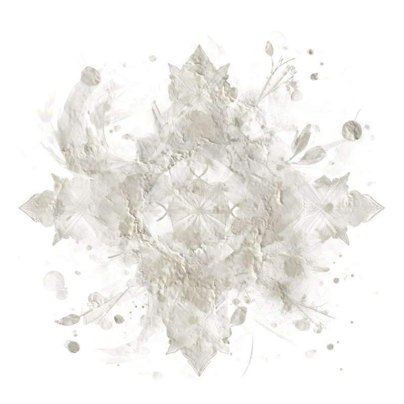 2026-DesignsbyForteMasked800x800-596