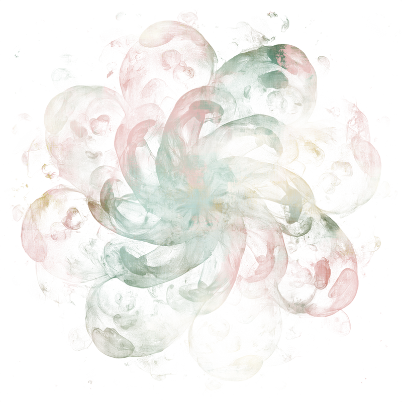 2026-DesignsbyForteMasked800x800-607