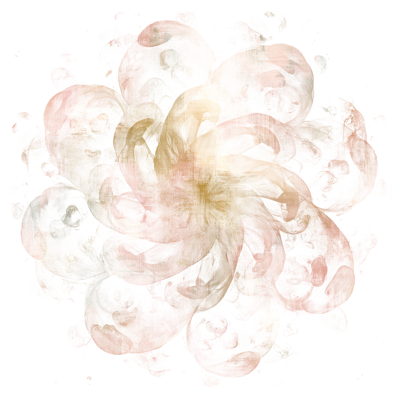 2026-DesignsbyForteMasked800x800-608